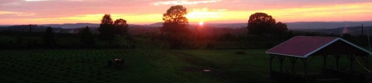 Wilkens Fruit & Fir Farm