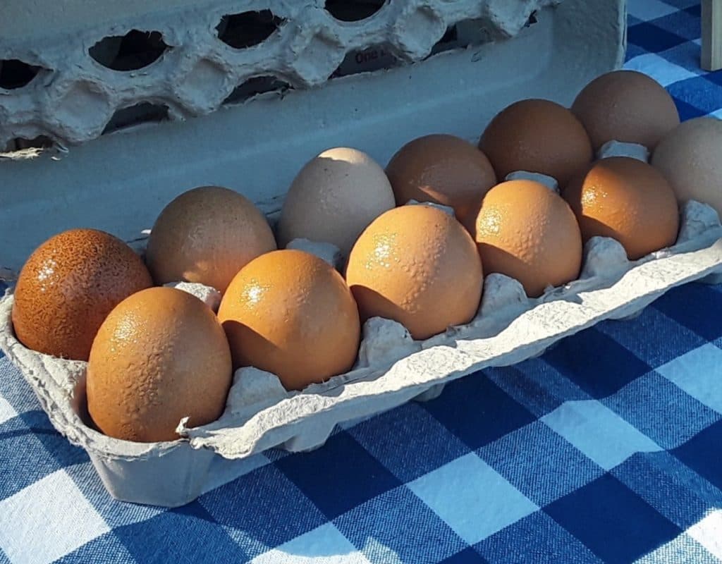 Midland Community Farmers Market