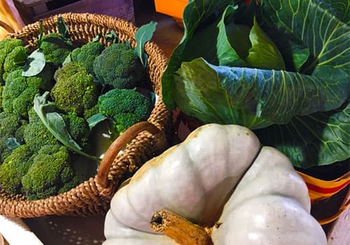 Queen Anne Farm Inc.