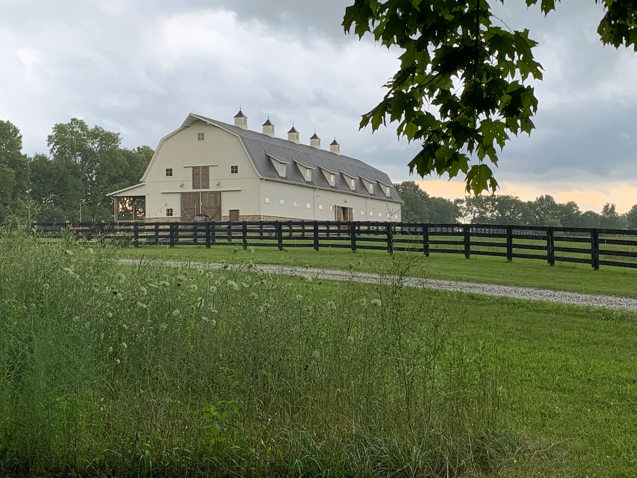 Wild Blackberry Farms