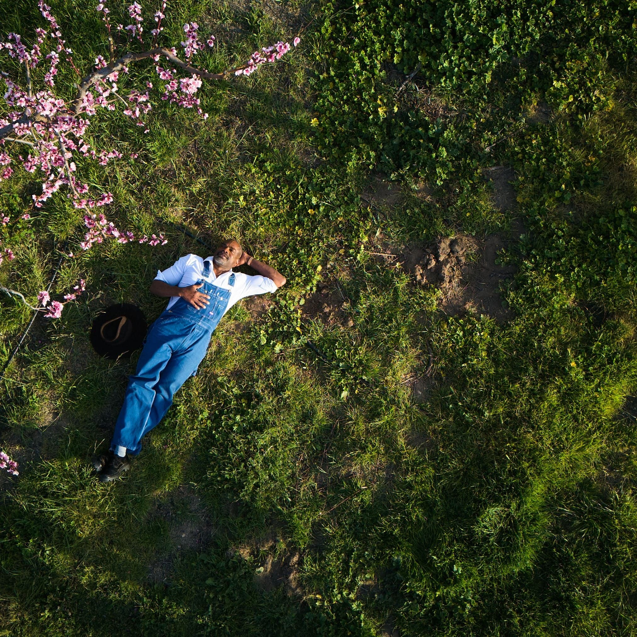 Bloom Ranch of Acton