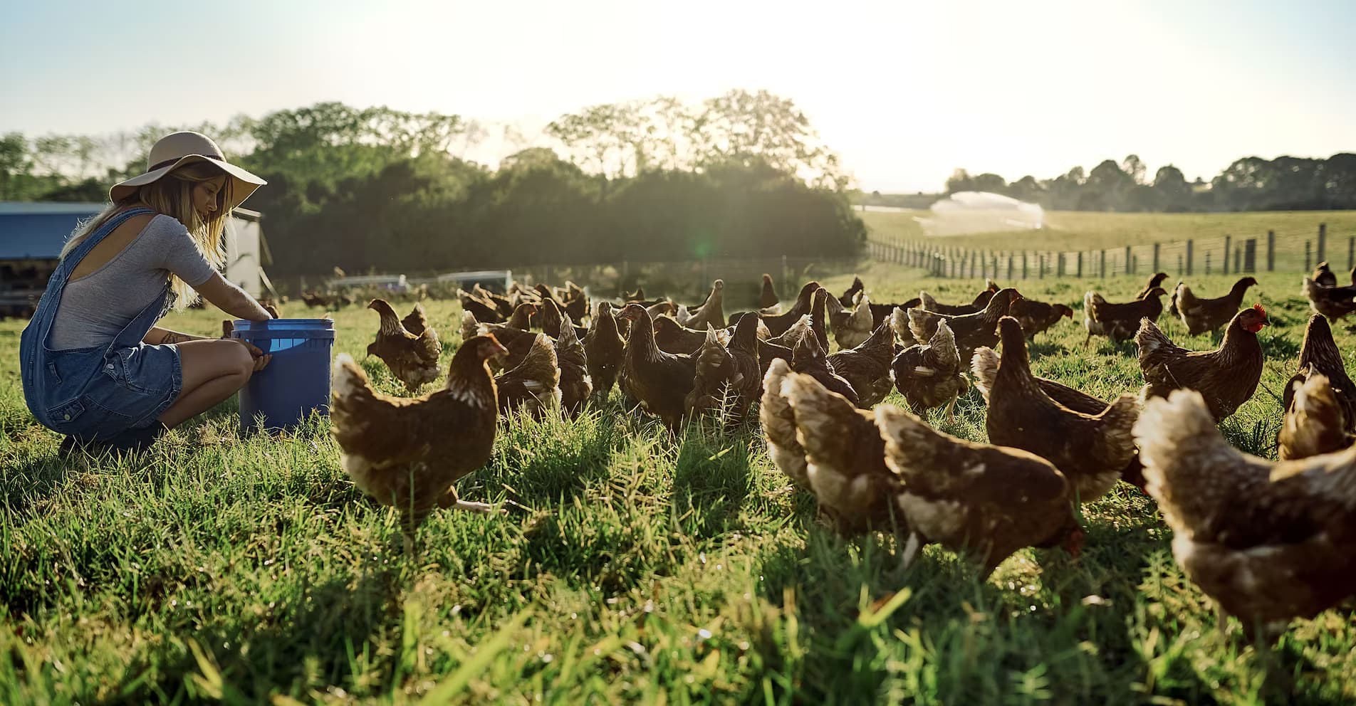 Back Forty Farm & Ranch