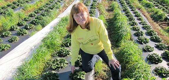 Bernie's Berries & Produce