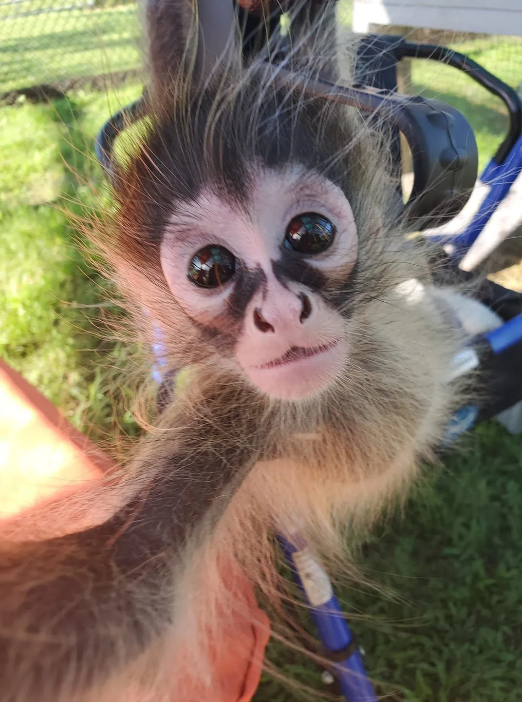 Exotic Animal Experience