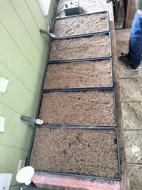 Dick's Market Gardens & Greenhouses