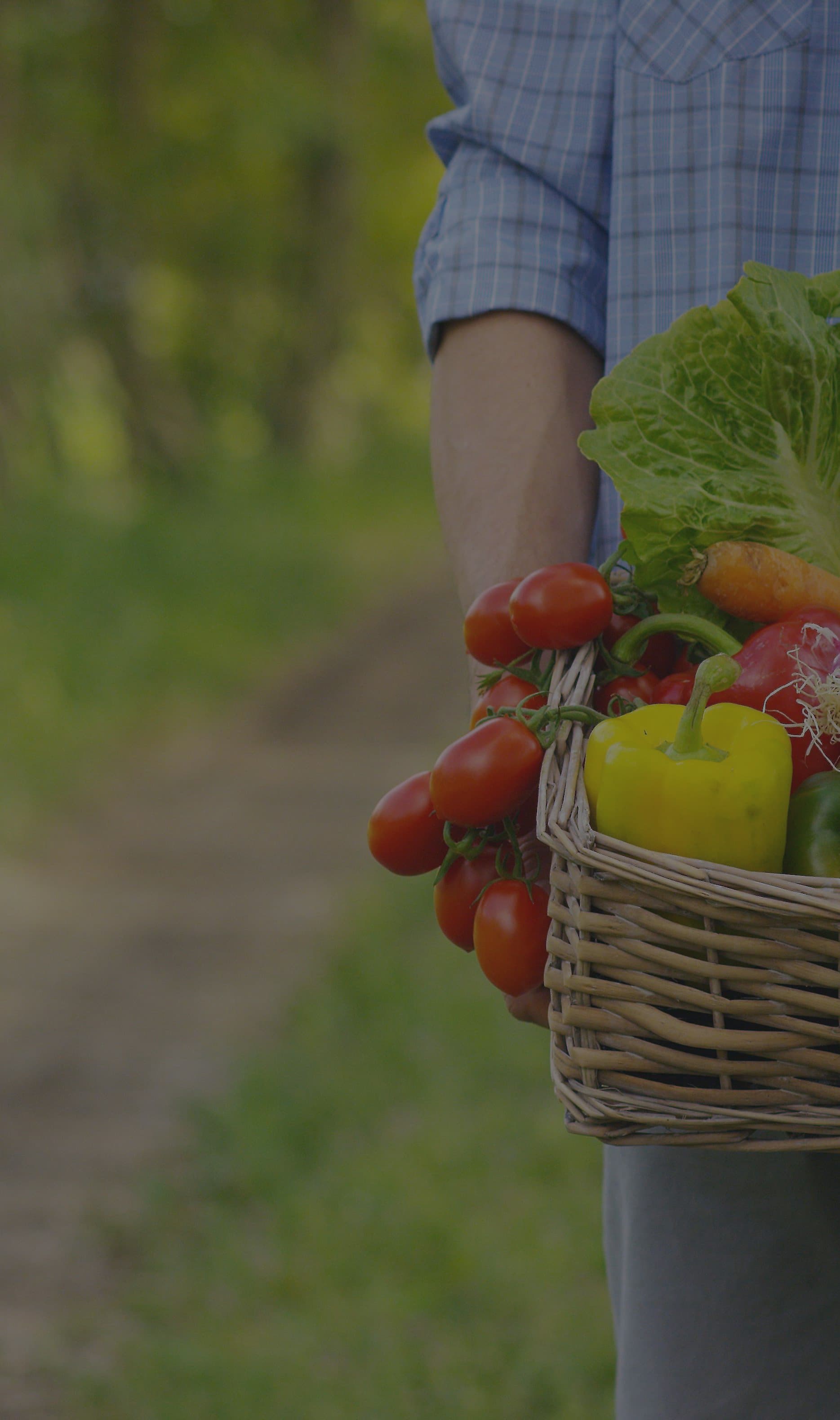 Frisco Rotary Farmers Market