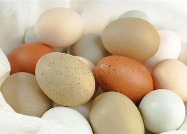 Crimson Acres Family Farm