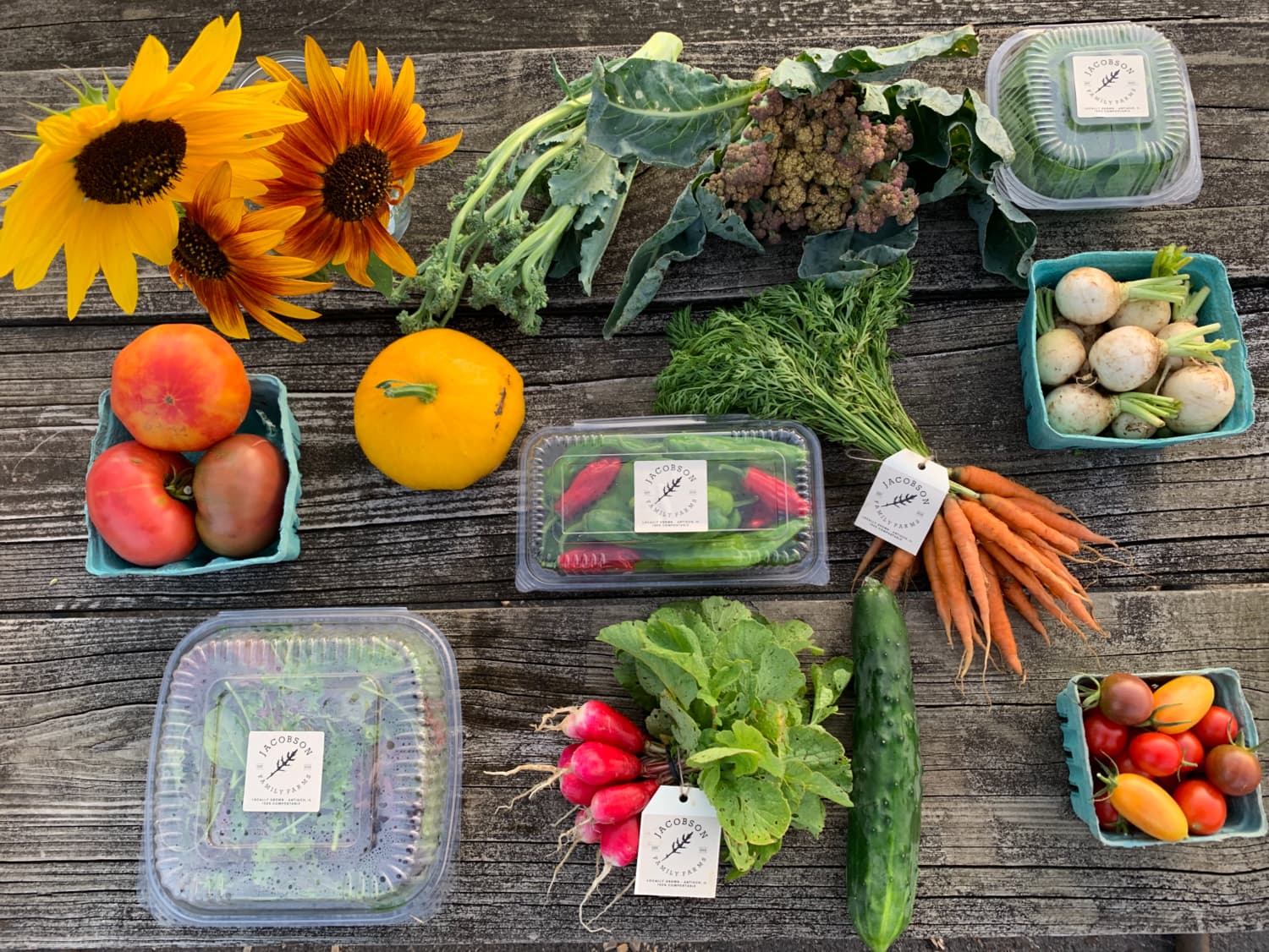 Jacobson Family Farms