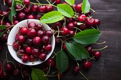 Marsh Creek Cherries