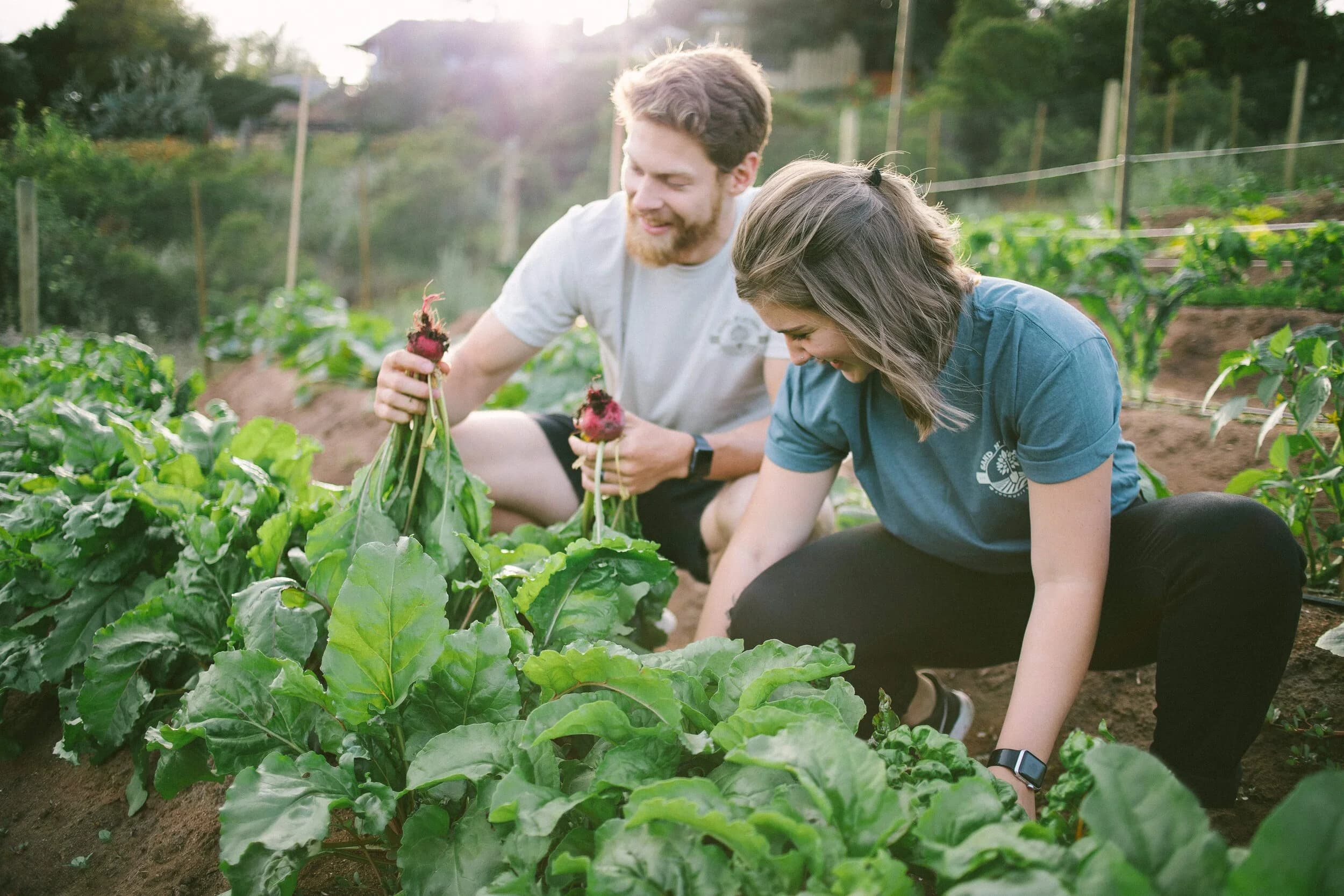 Sand n' Straw Community Farm
