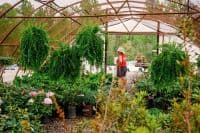 Denton Community Farmers Market