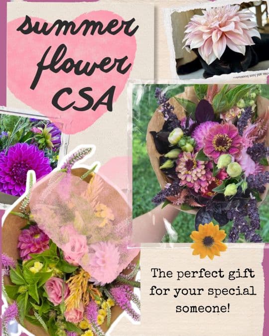 Mustard Seed Community Farm