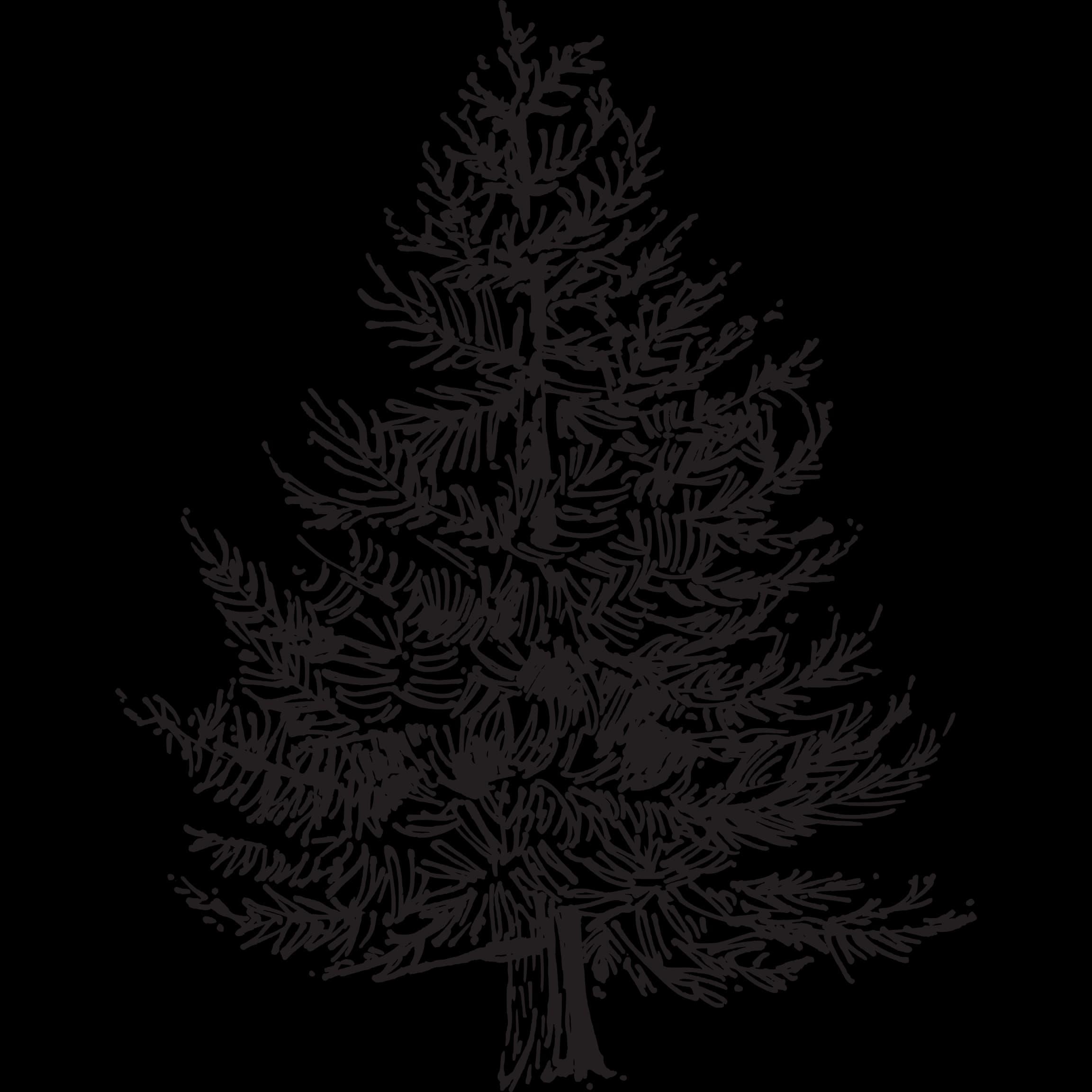 Bridgewood Farms Inc.