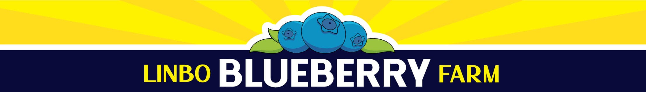 Linbo Blueberry Farm