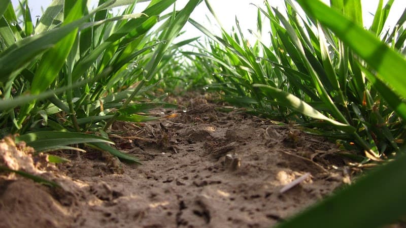 Rolling Prairie Farmers Alliance