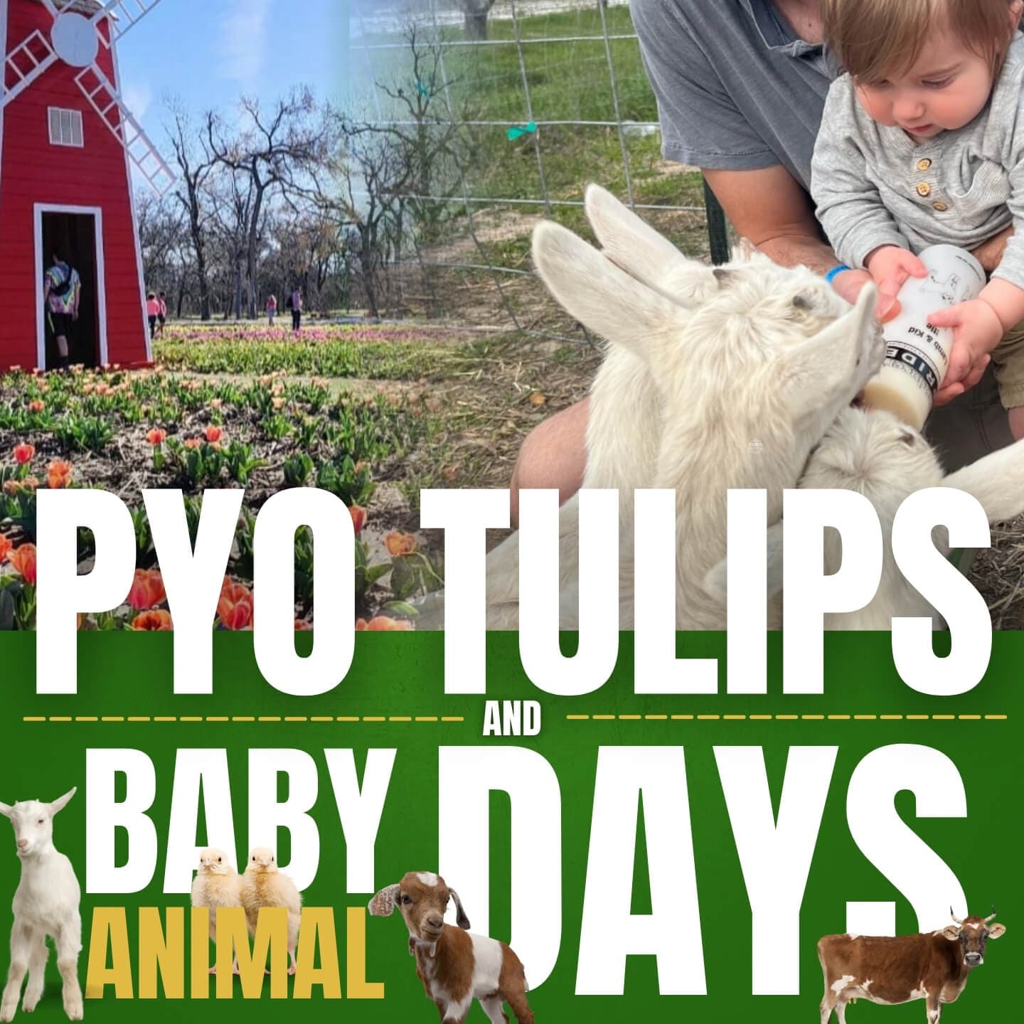 Sweet Eats Adventure Farm & Petting Zoo