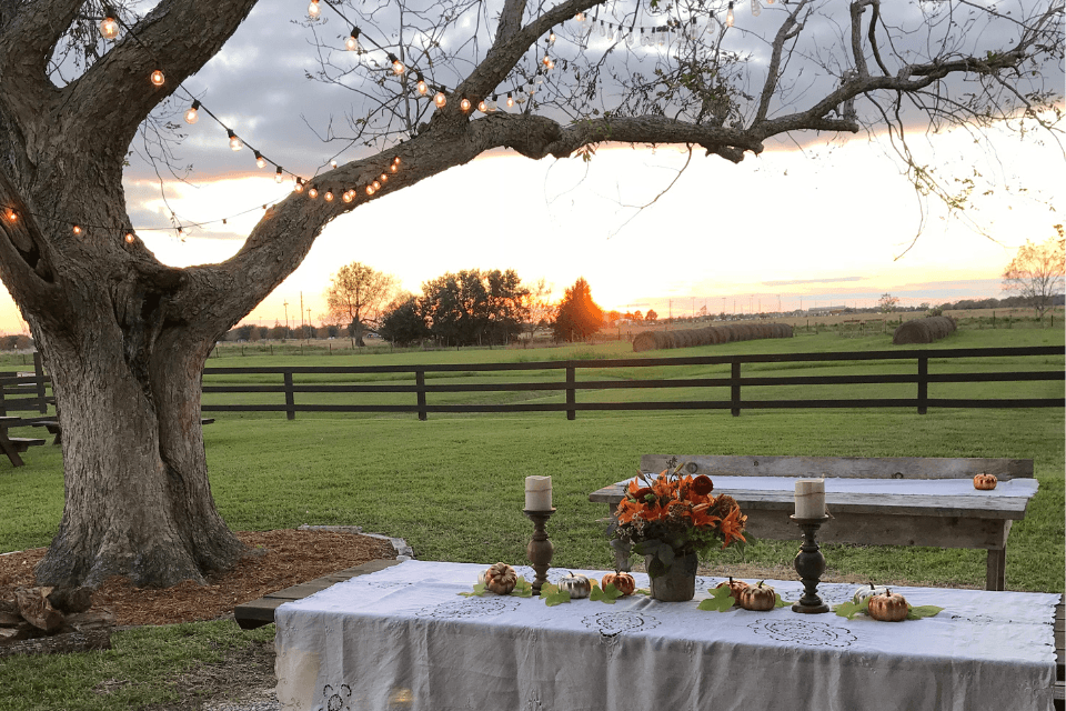 Amelia Farm and Market