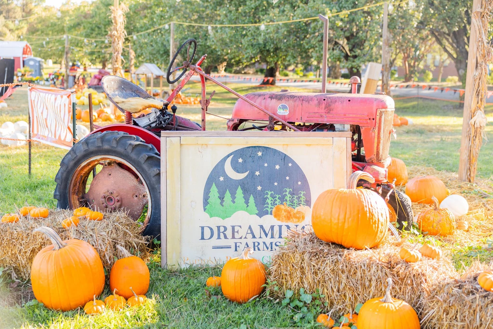 Dreaming Farms Pumpkin Patch & Christmas Trees