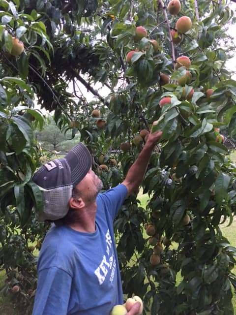 Marshfield Farmer's Market