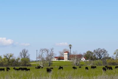 Santa Margarita Ranch