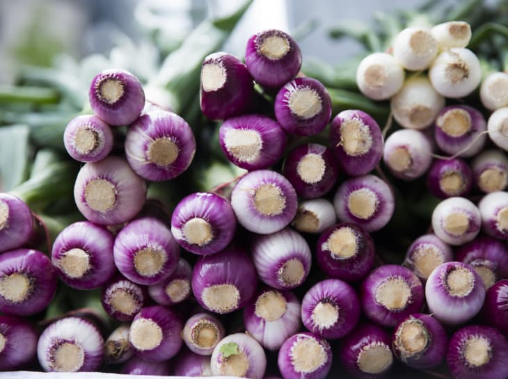 FRESHFARM Mount Vernon Triangle Market