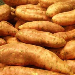 Chesapeake Farms Inc