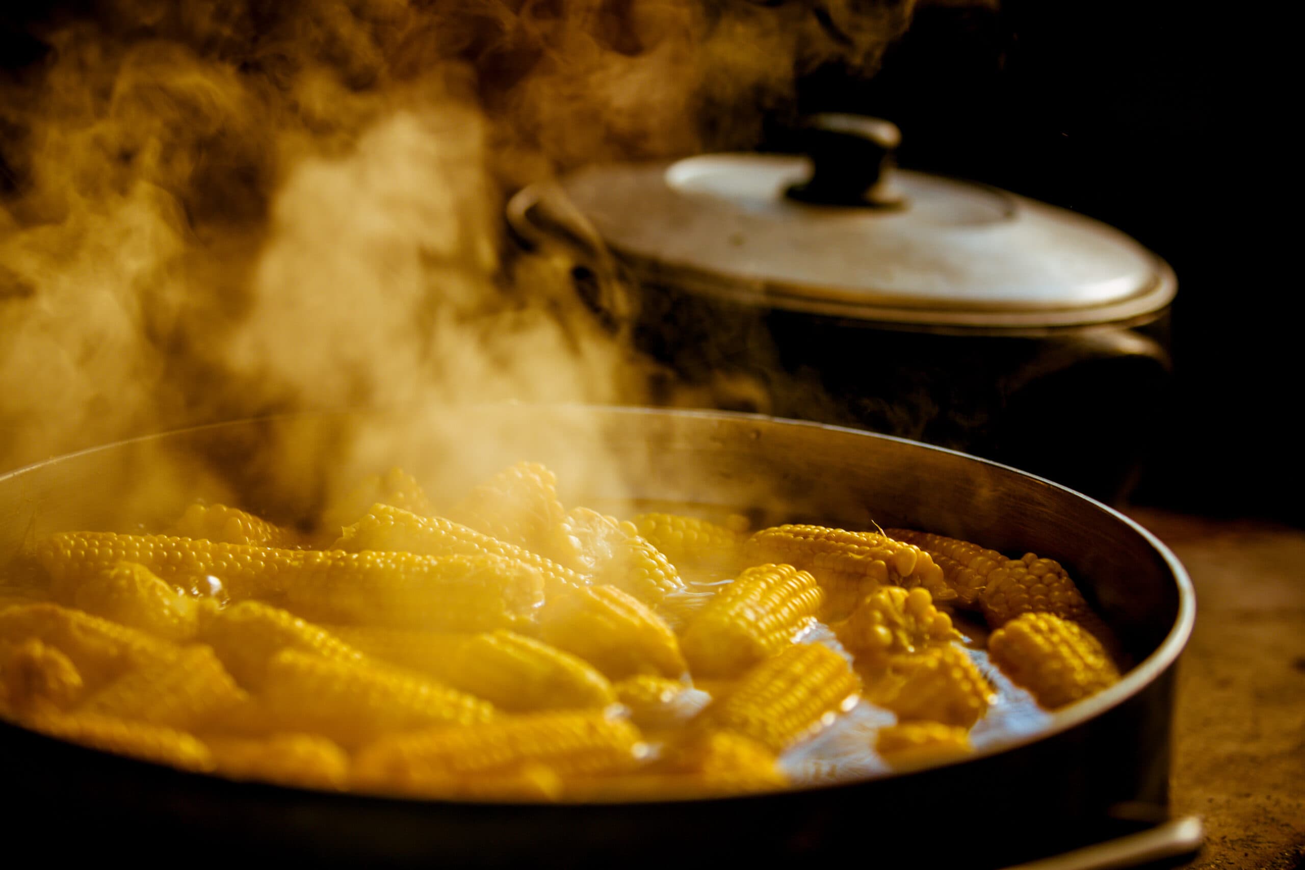 Regina's Farm ( Fazendinha da Regina)