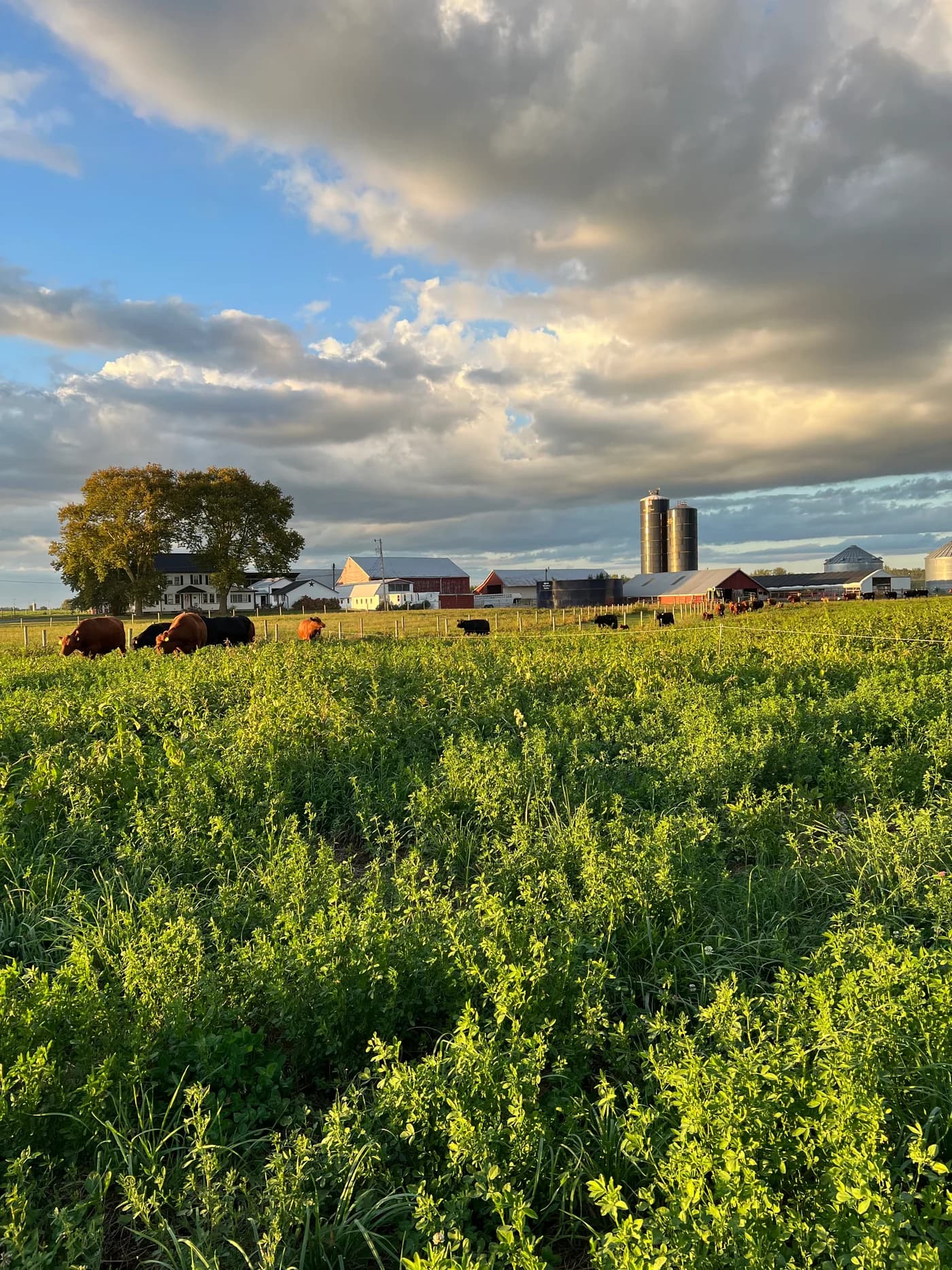Sickler's Circle View Farm