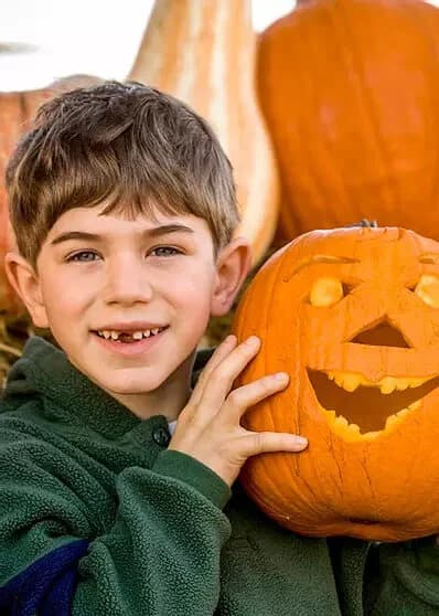 Honeysuckle Hill Farm