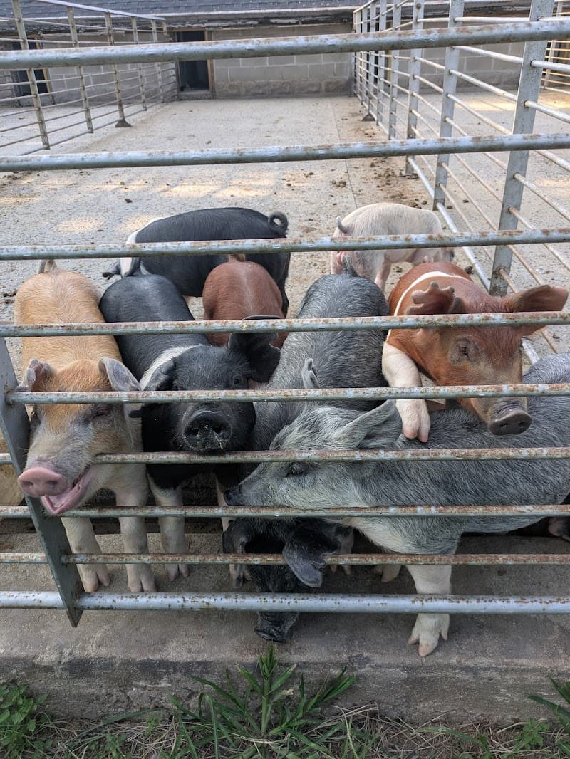 Rutgers Gardens Student Farm CSA