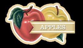 Symms Fruit Ranch Inc