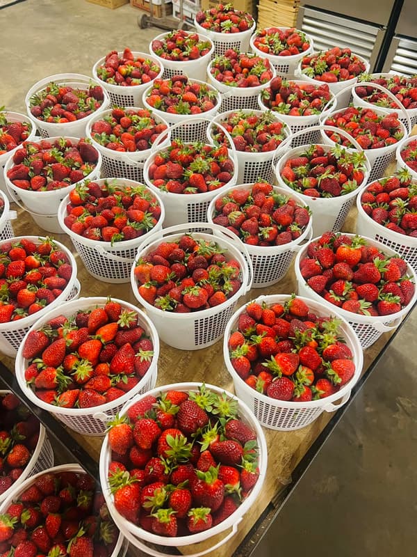 Mathis Peaches and Produce