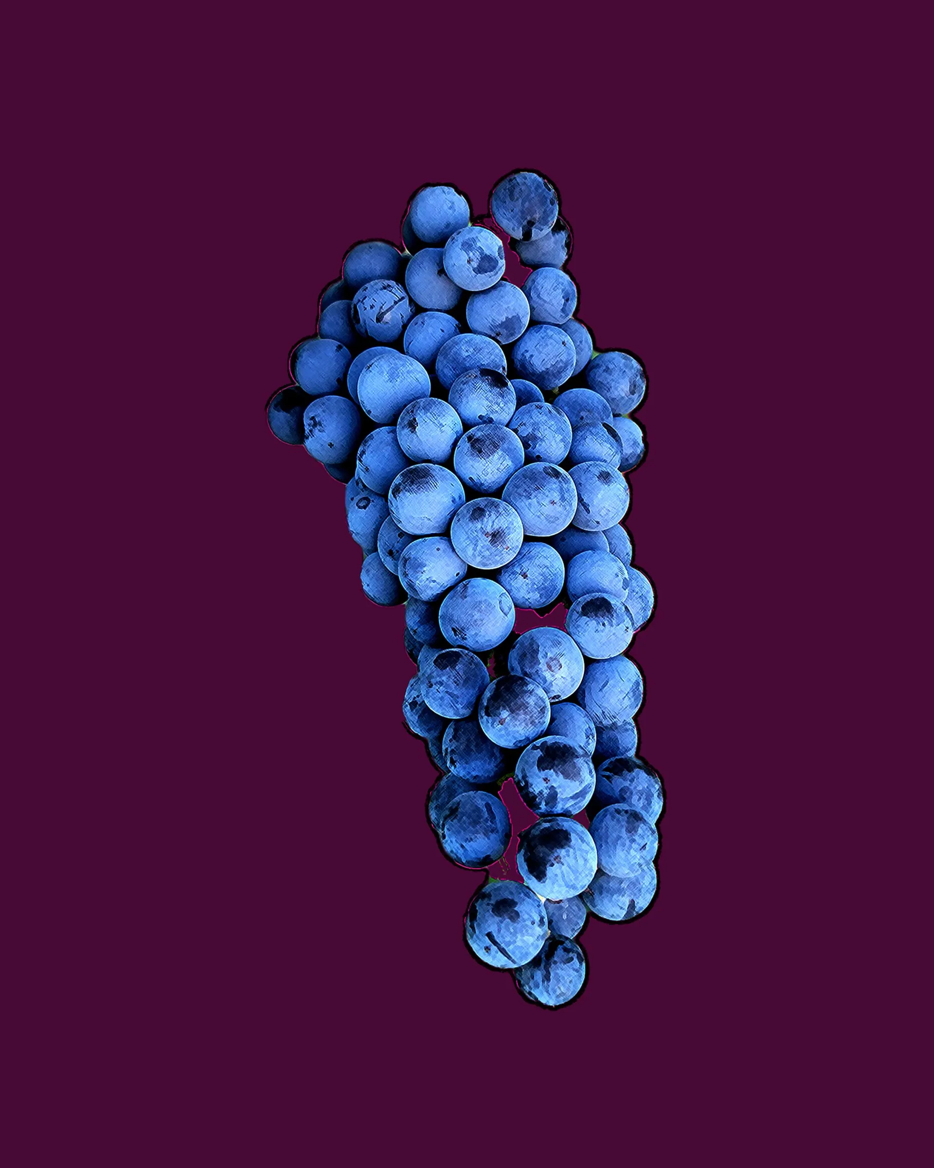 Inland Ocean Vineyards & Winery