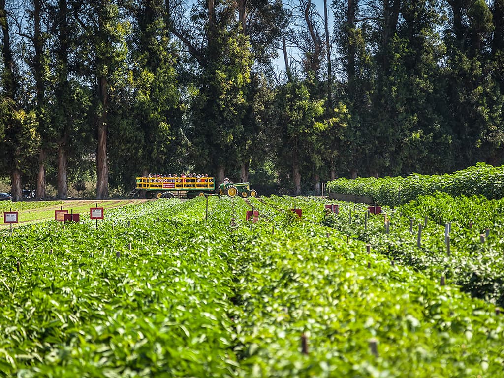 Underwood Family Farms